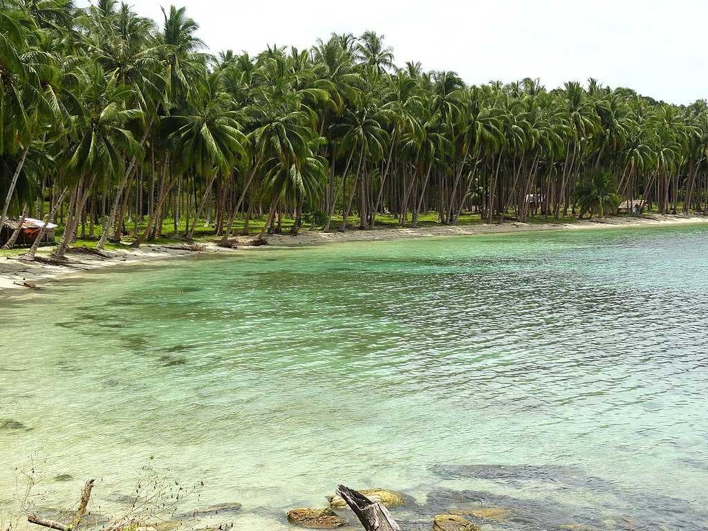 Palawan travel image