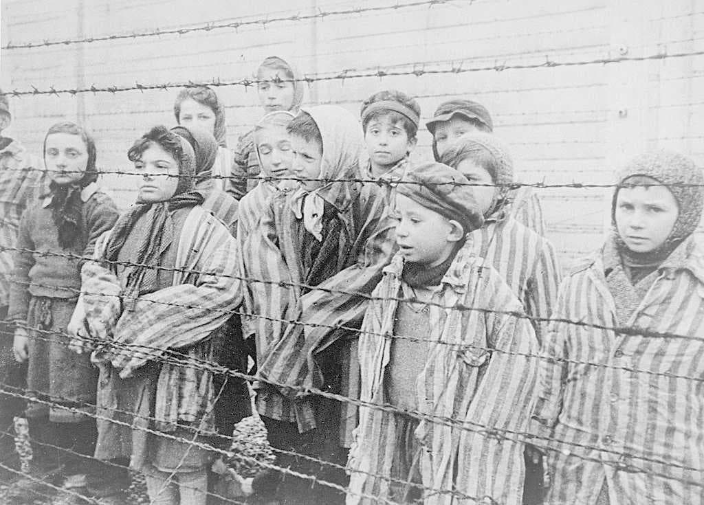 Auchwitz-Birkenau Concentration Camps travel image