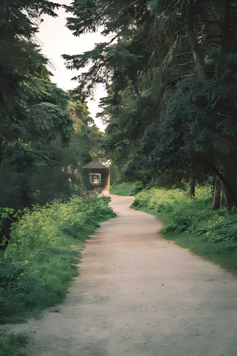 Monsanto Forest Park
