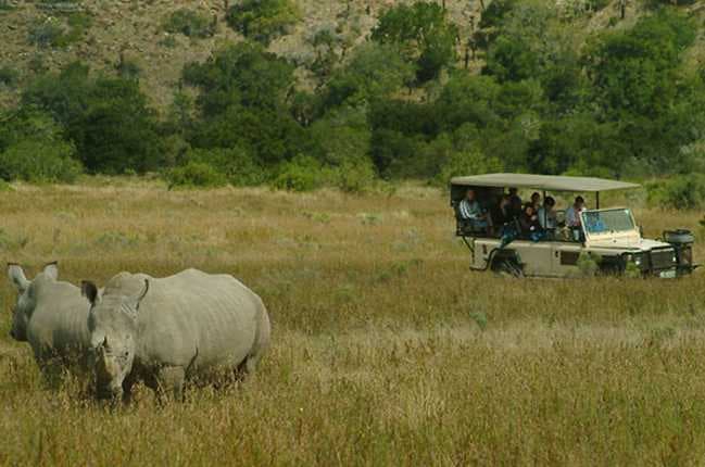 A picture of the Kwantu Private Game Reserve
