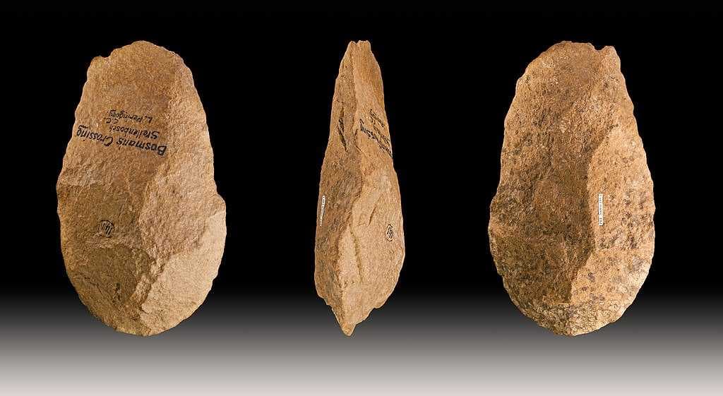 Paleolithic biface from Stellenbosch