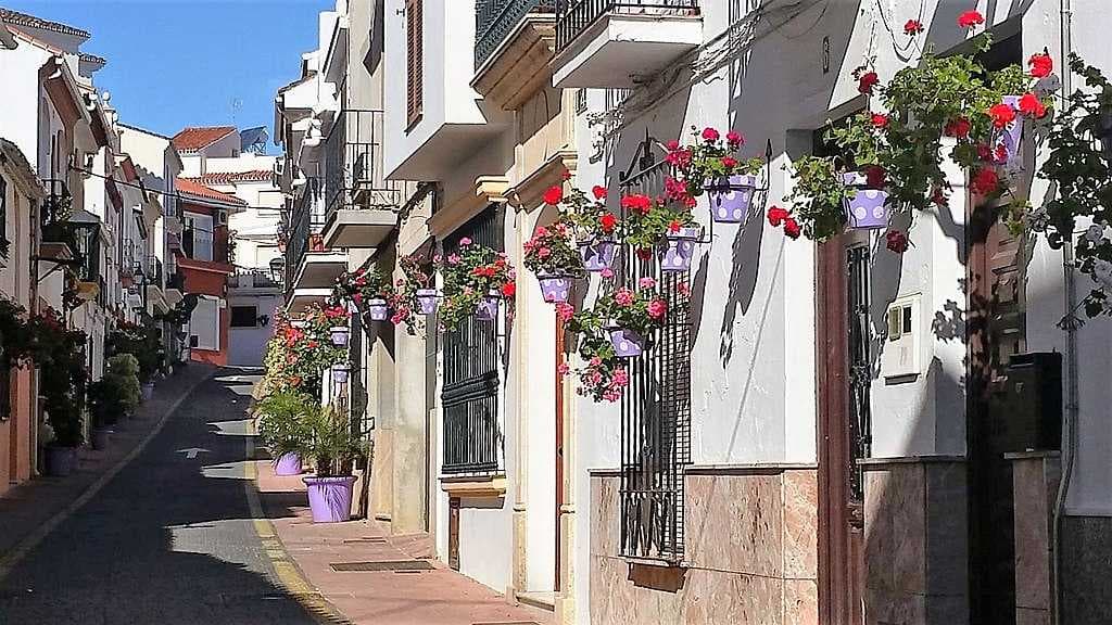 Calle Papuecas - Estepona Garden of the Costa del Sol.