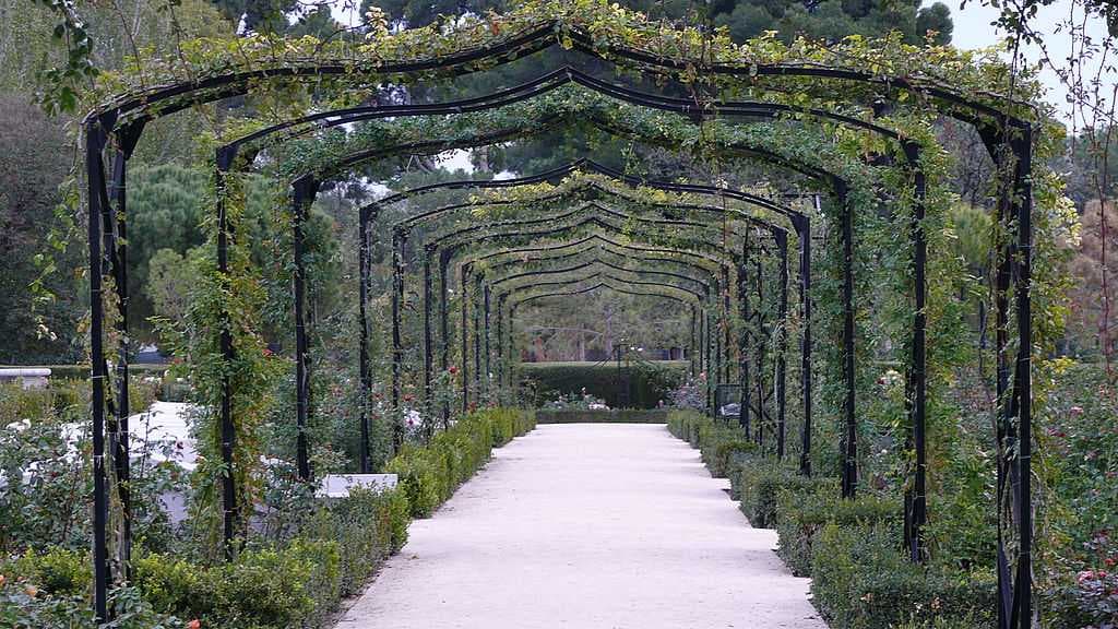 Rosaleda (rose-garden)