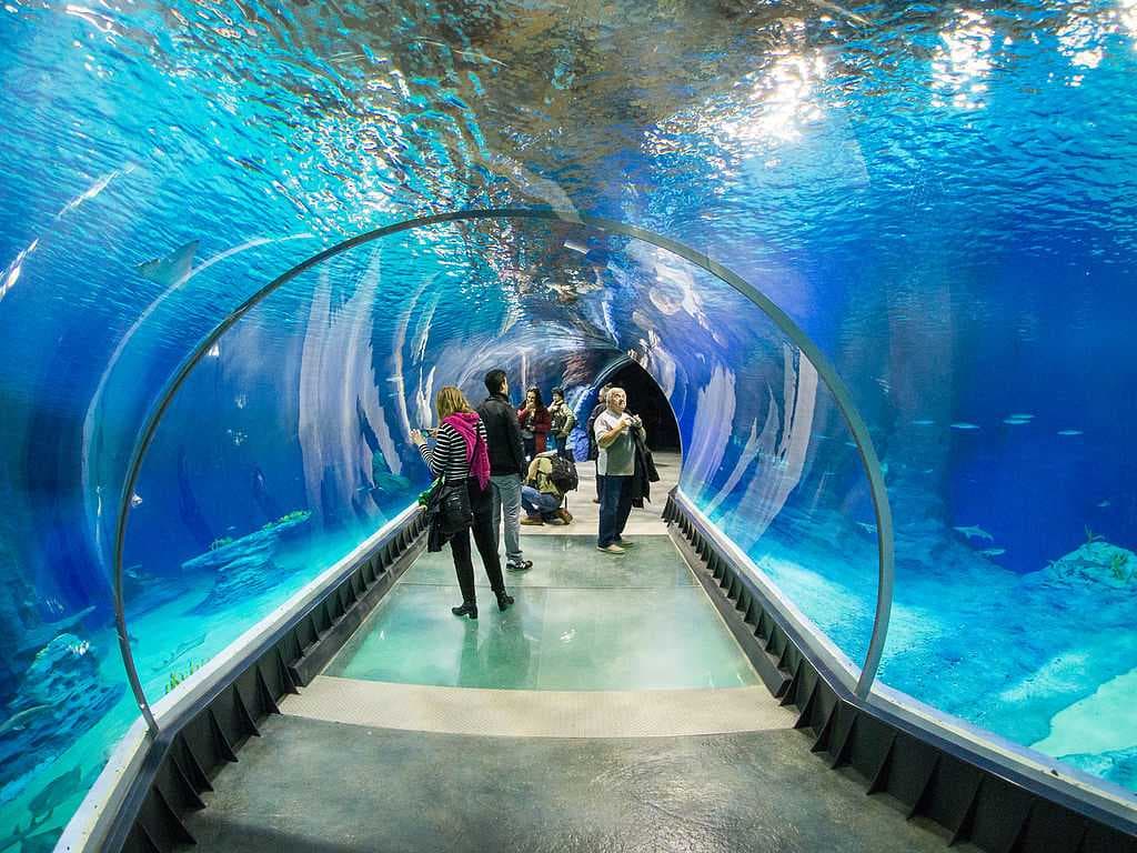 Colombo Dehiwala Zoo travel image