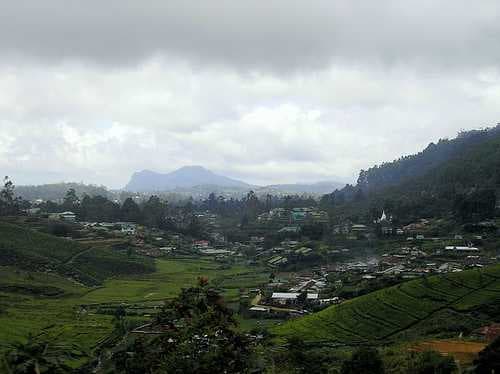 Nuwara Eliya