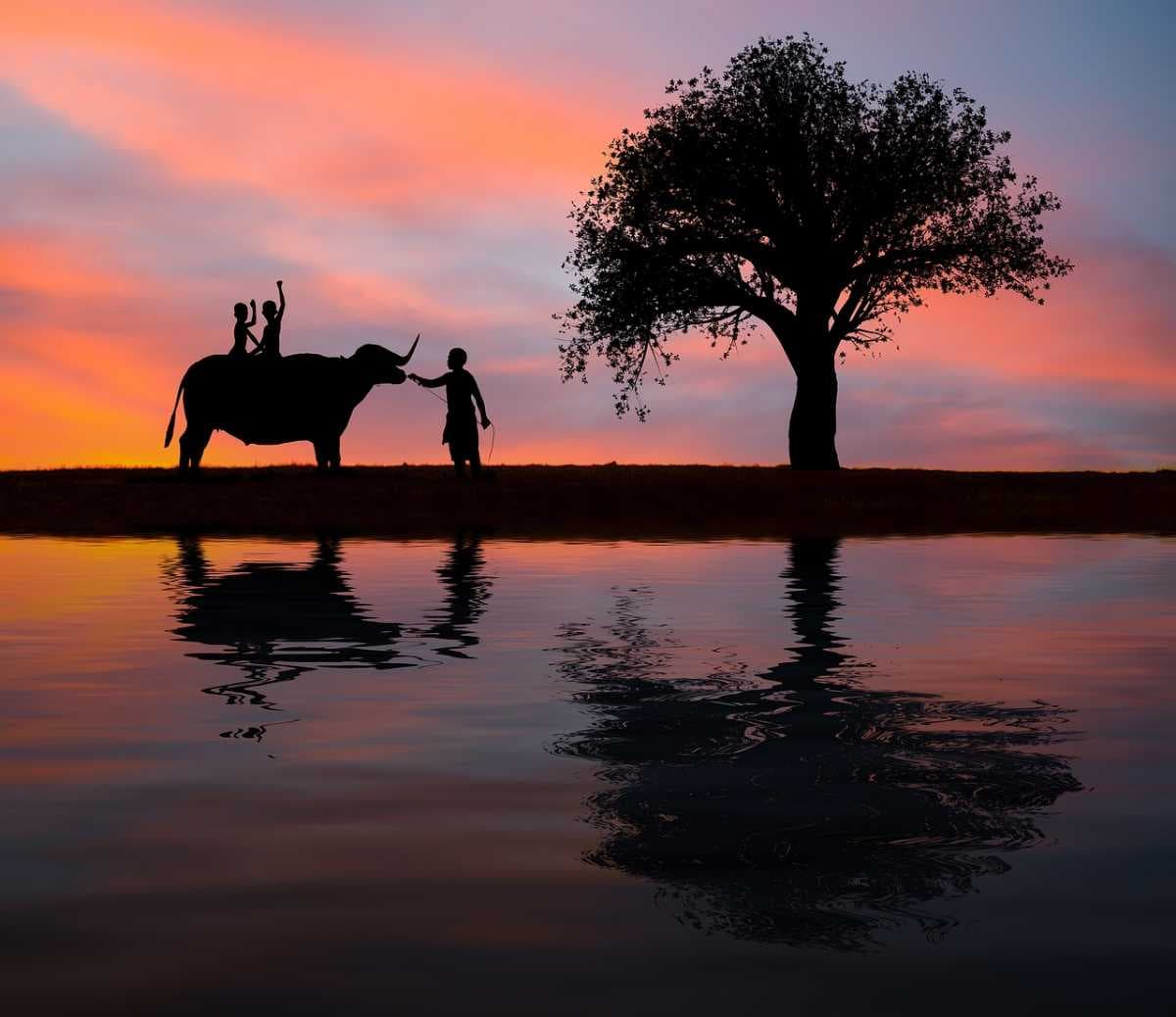 Ayutthaya travel image