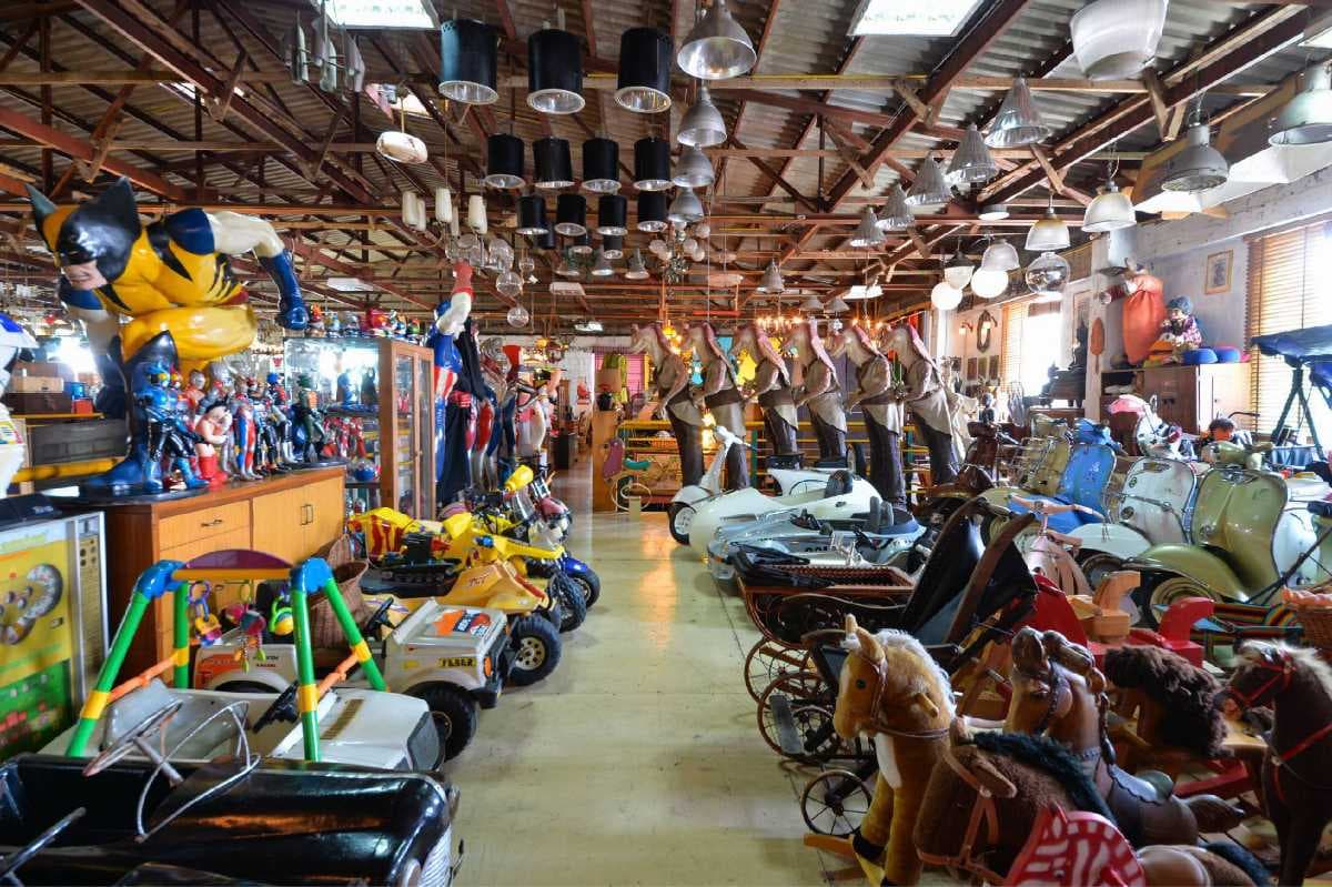 Papaya Vintage Shop travel image