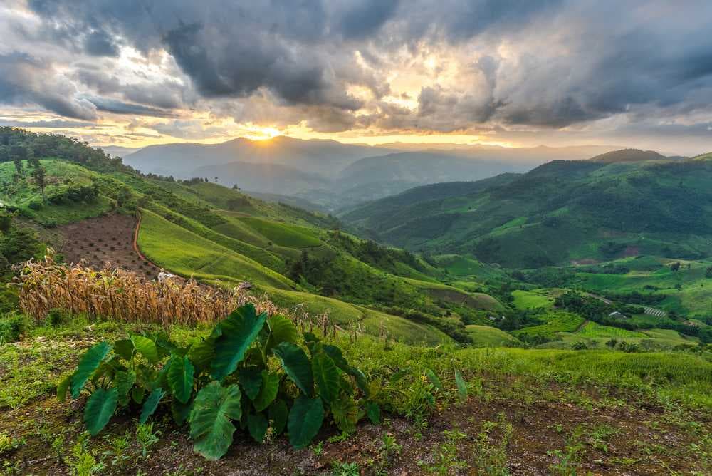 Magnificent Sunset View - Doi Chang Hill