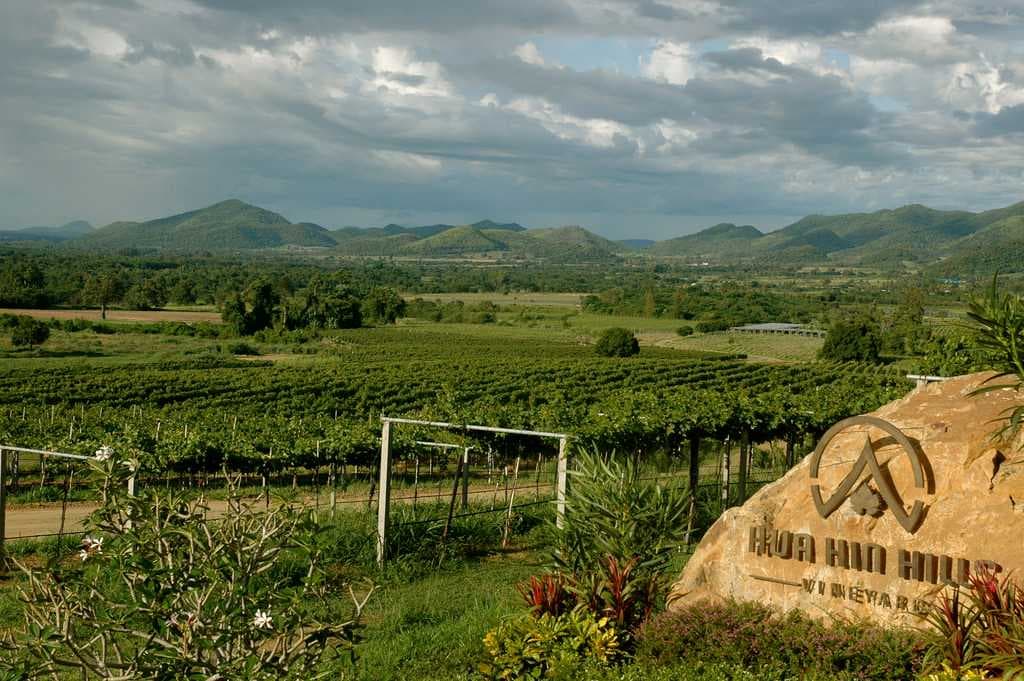 Monsoon Valley Vineyard travel image