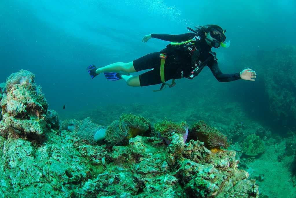Diving in Soneva Reef