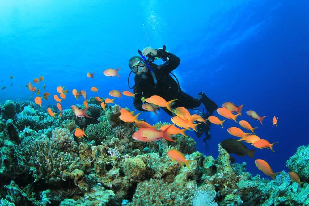 Explore the Marine Life Through Scuba Diving in Coral Island