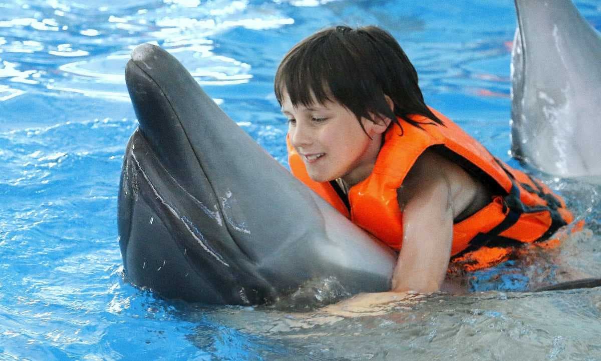 The Day Show at the Dolphins Bay, Phuket