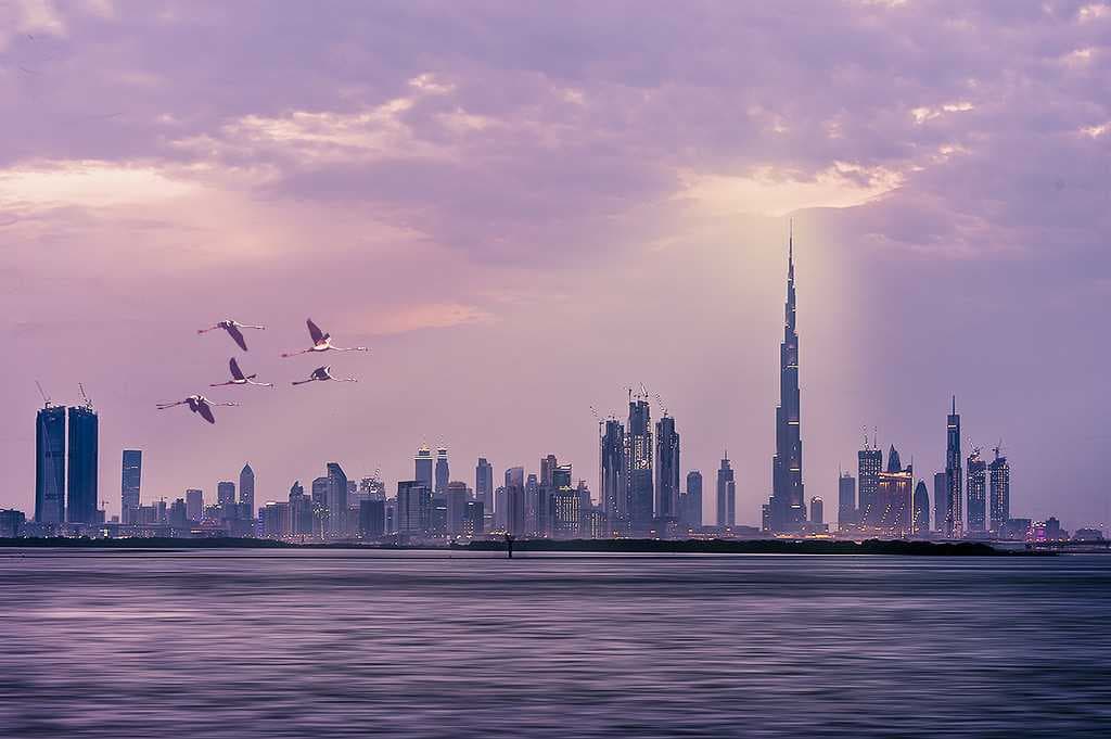 Dubai Creek travel image