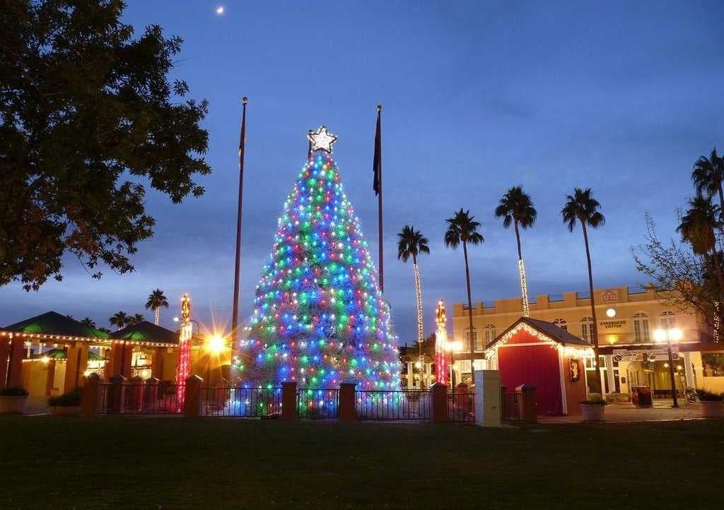 A.J. Chandler Park, in downtown Chandler, contains a tumbleweed Christmas tree during the holidays.