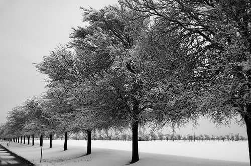 Dallas travel image