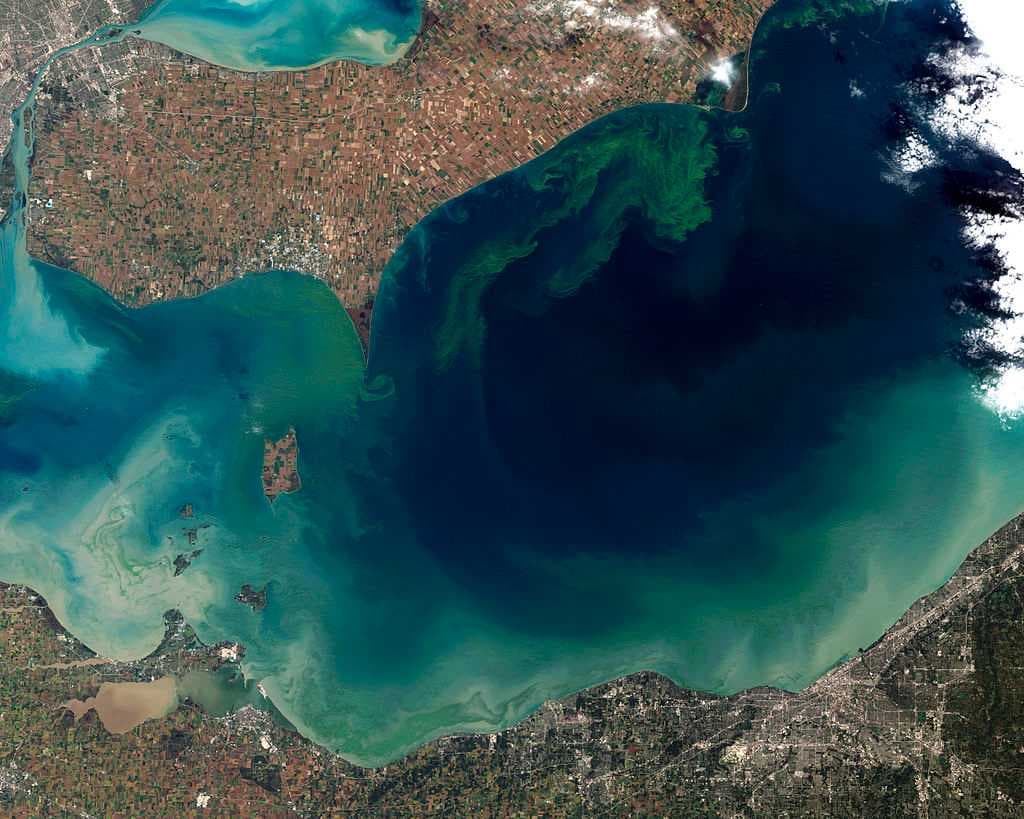 The green scum shown in this image taken in October 2011 is the worst algal bloom Lake Erie has experienced in decades.