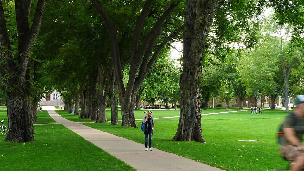 The Oval, part of the CSU campus