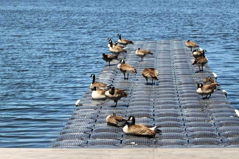 Picture of Hamilton Waterfront Trail