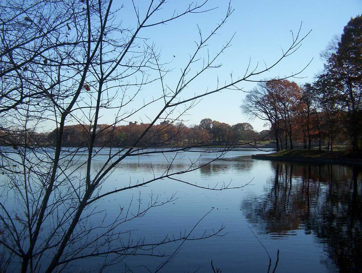 Mesmerizing view of Weequahic Park