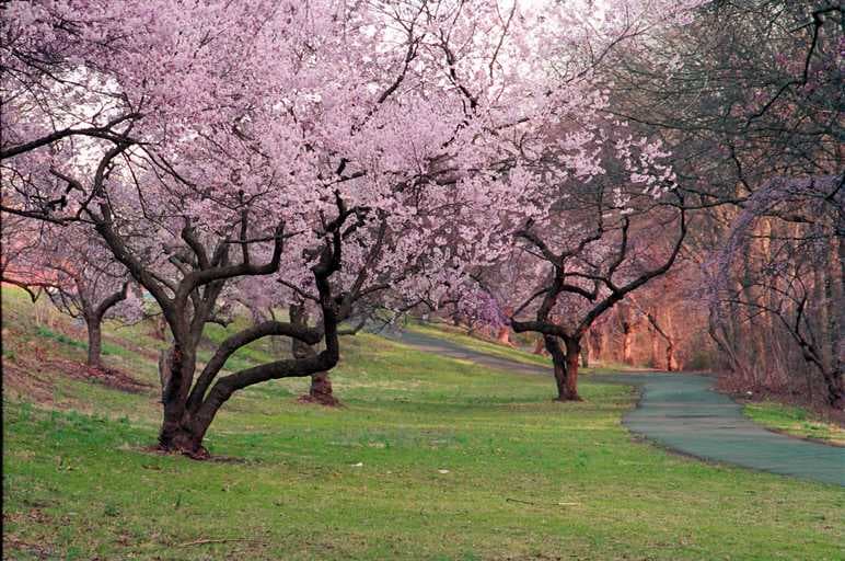 Mesmerizing view of Weequahic Park