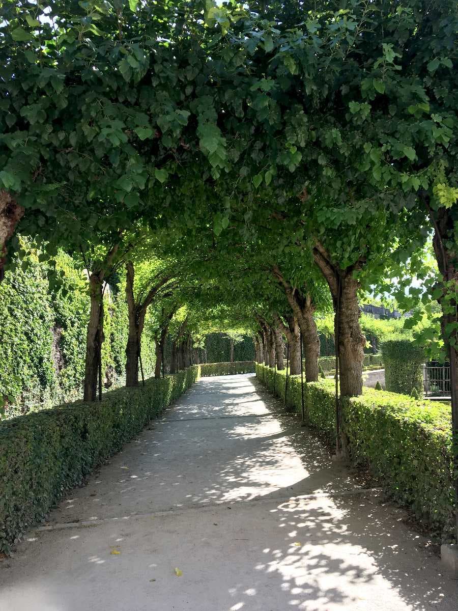 Ivy Hill Park