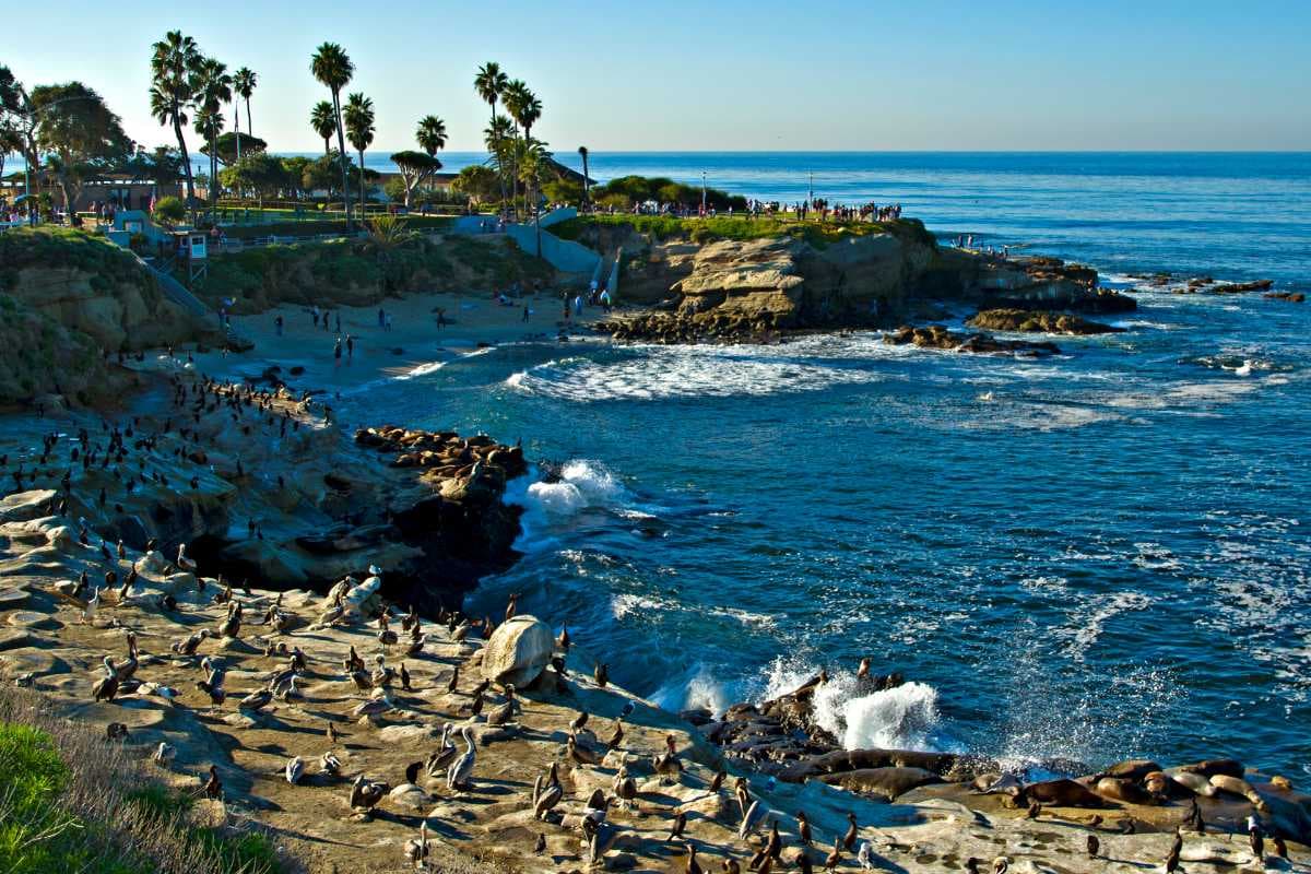 La Jolla Shores Beach