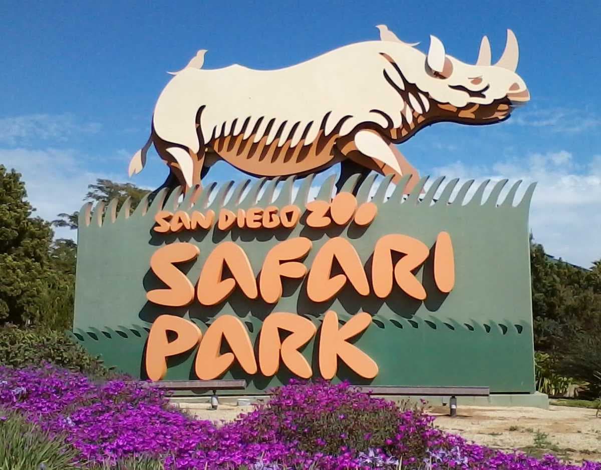 Beaches of San Diego