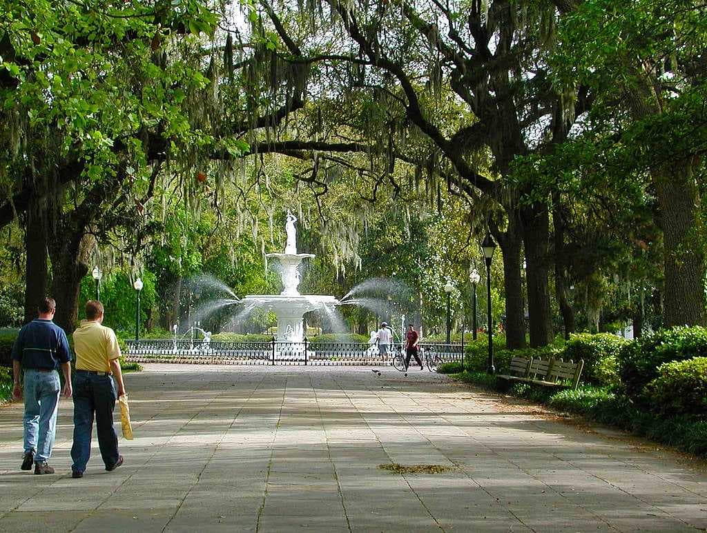 Savannah travel image