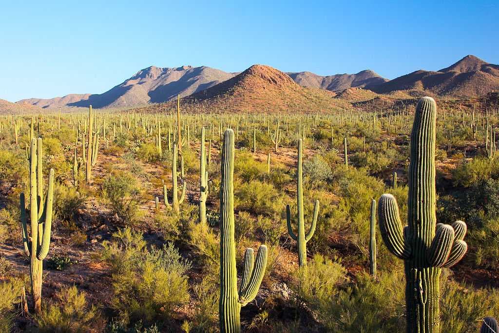 Tucson travel image