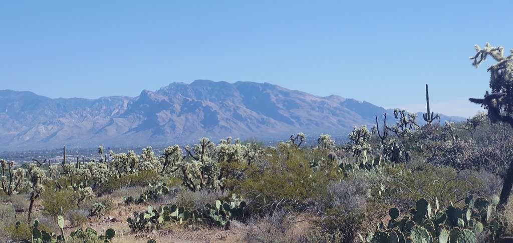 Tucson travel image