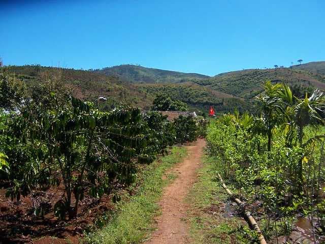 Buon Ma Thuot - Popularly Known as Coffee Capital