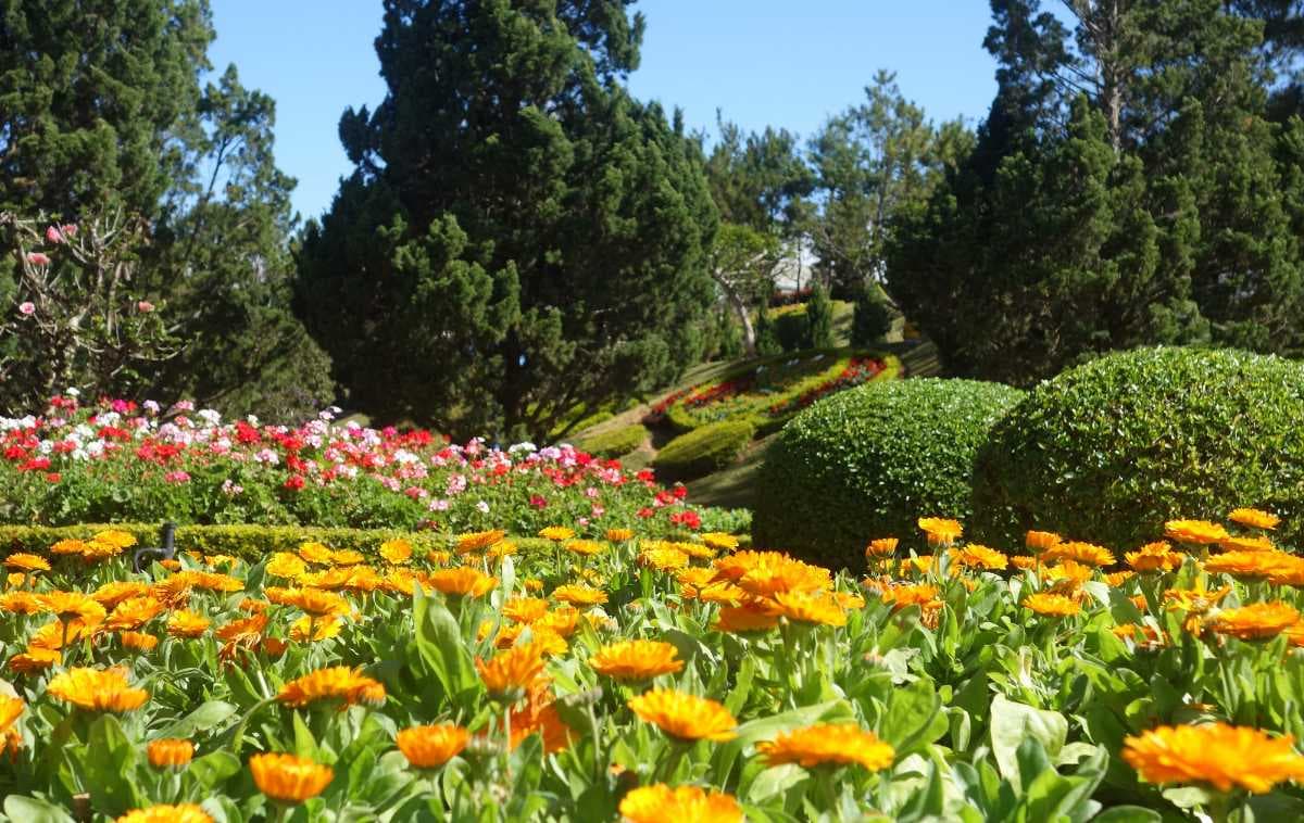 Dalat Flower Park