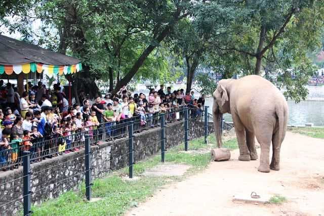 Hanoi Zoo travel image