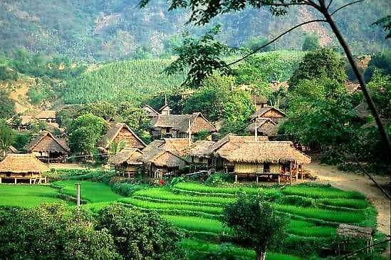 Beautiful Greenery, Mai Chau